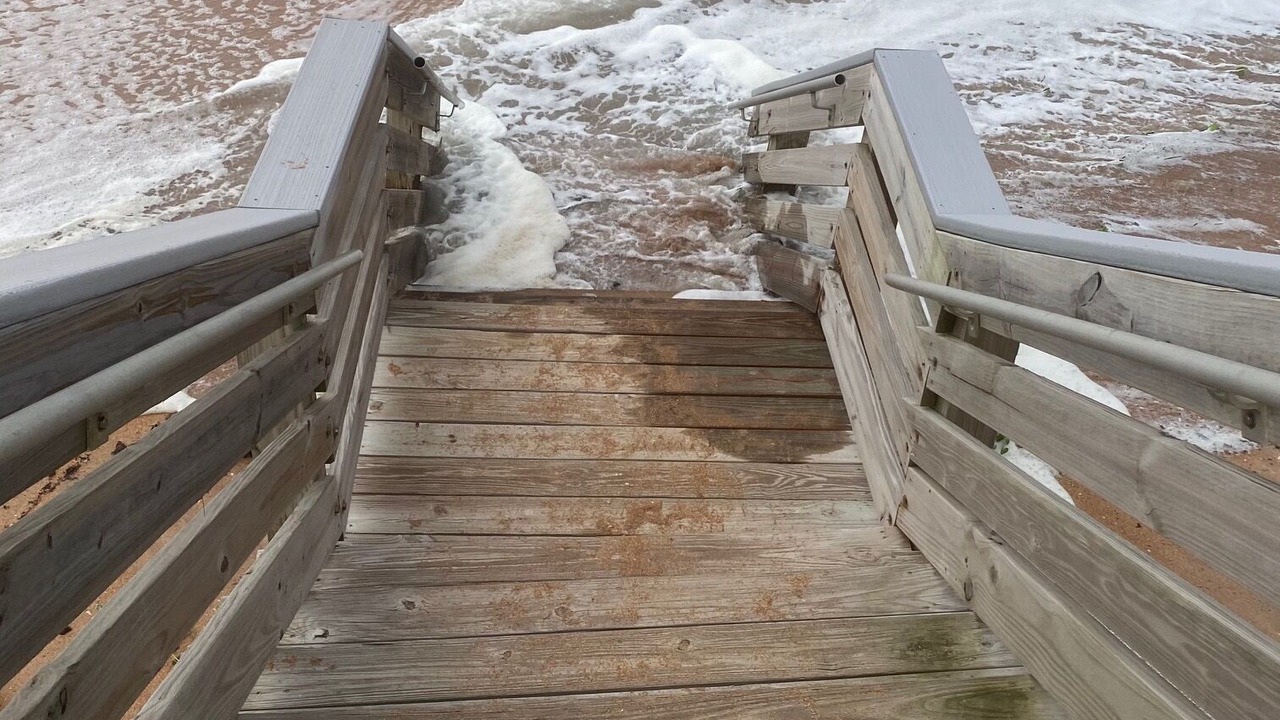 Photo of Others in Ormond-by-the-Sea