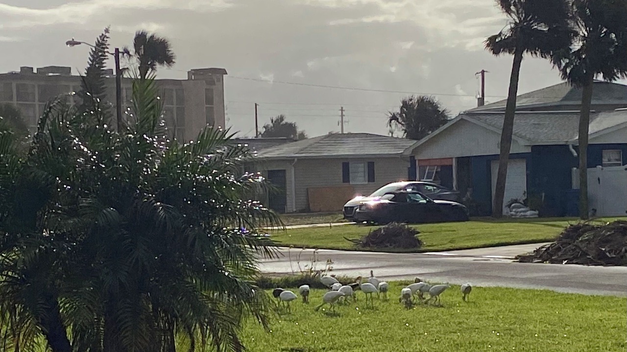 Photo of Others in Ormond-by-the-Sea
