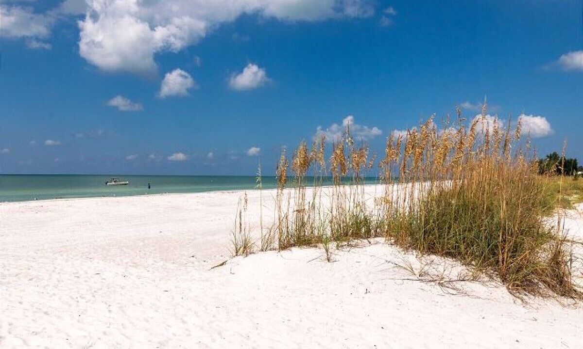 Photo of Others in Bradenton Beach