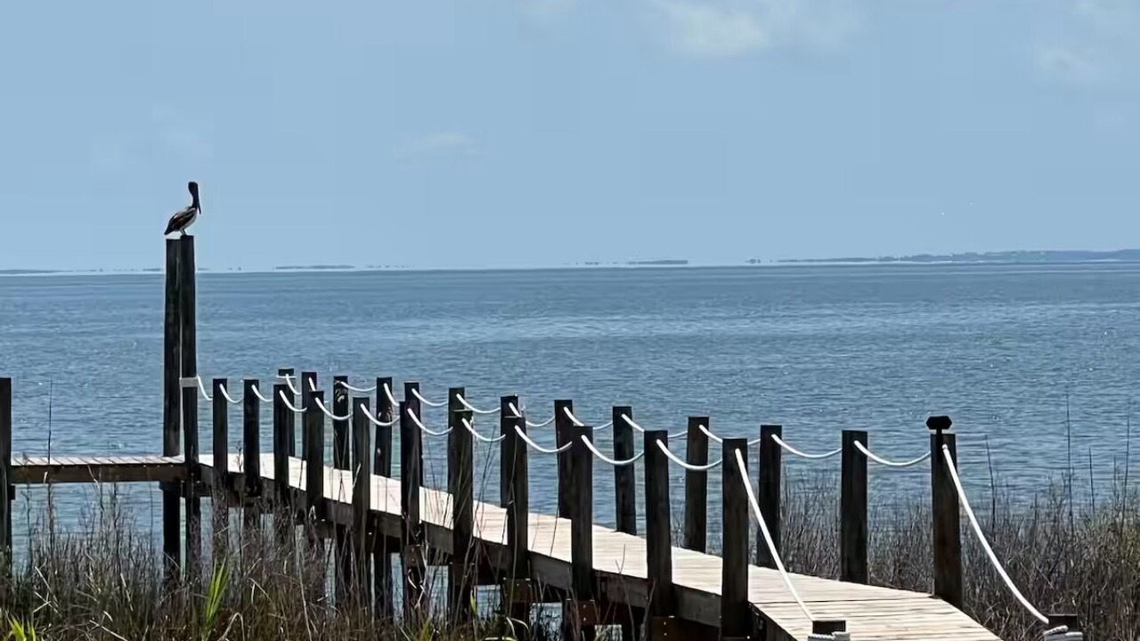 Photo of Outdoor in Apalachicola