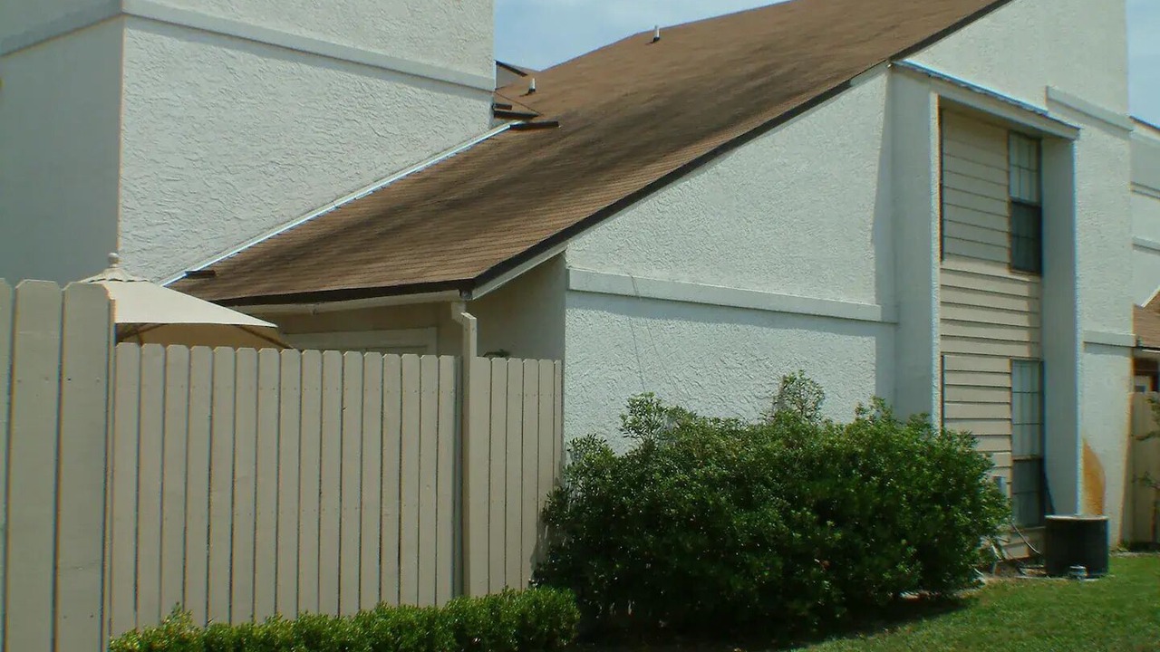 Photo of Outdoor in Summer Breeze