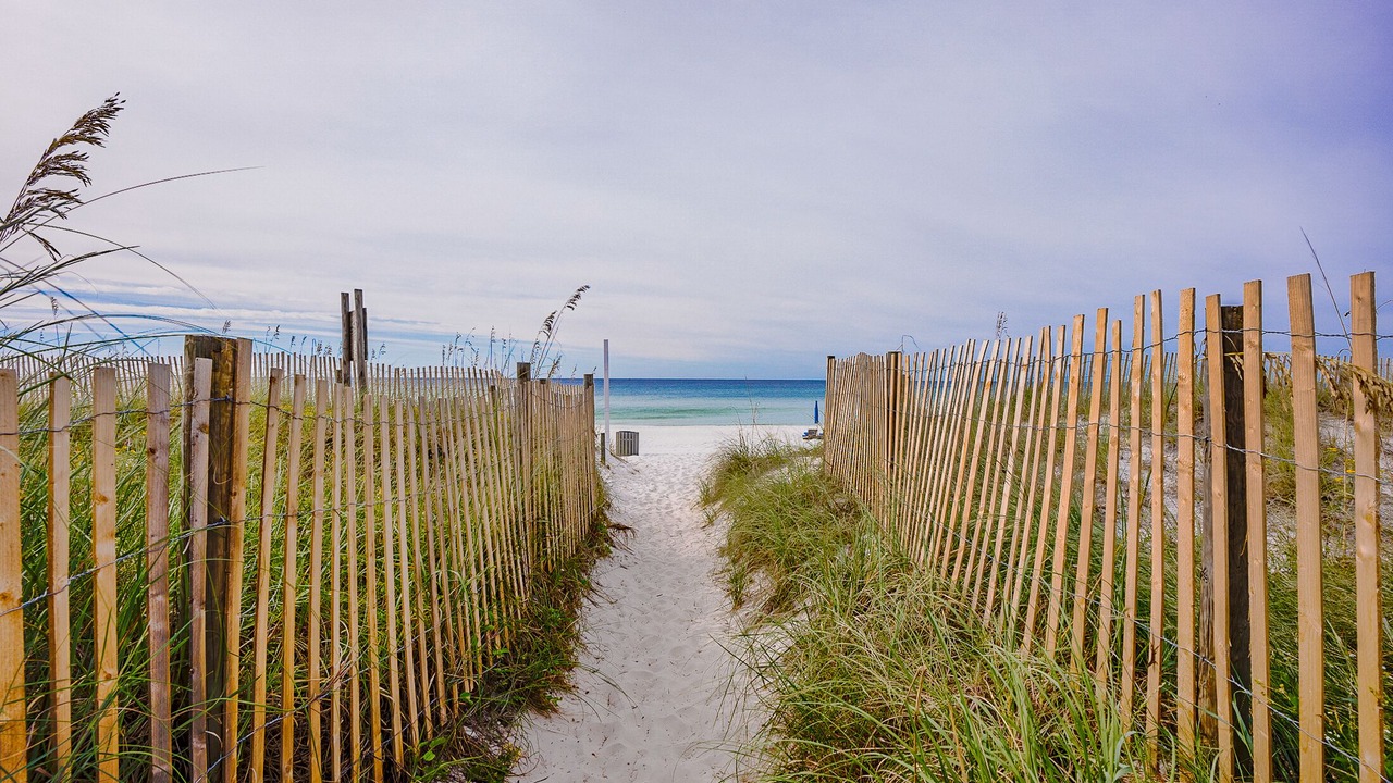 Photo of Others in Panama City Beach