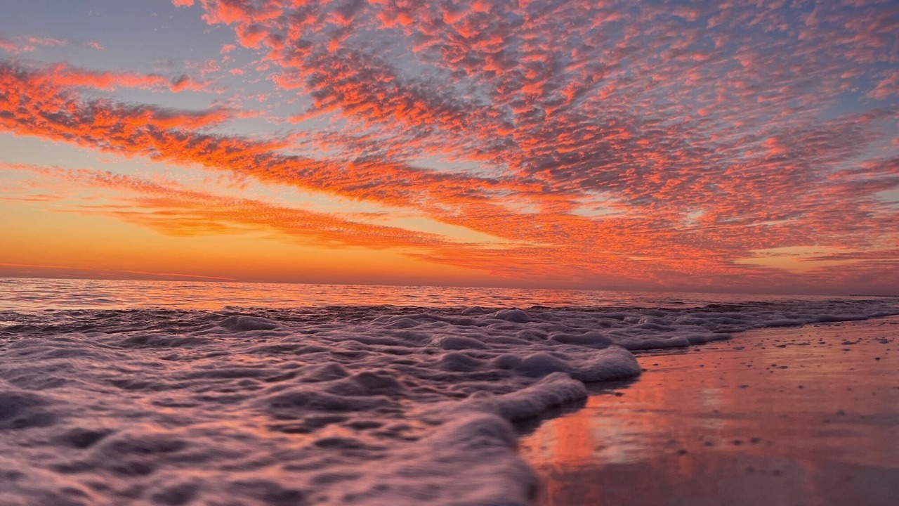 Photo of Others in Panama City Beach