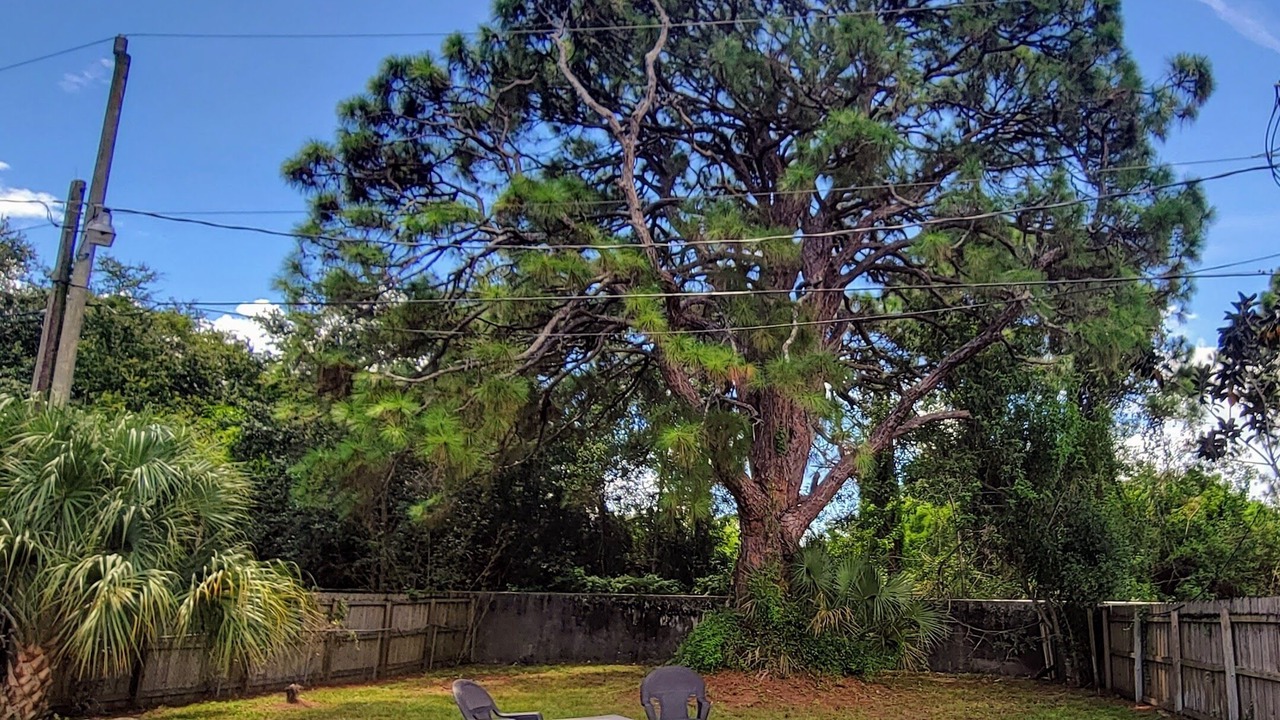 Photo of Outdoor in Stuart