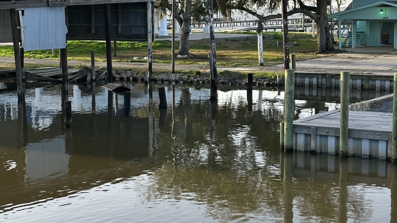 Photo of Others in Cypremort Point