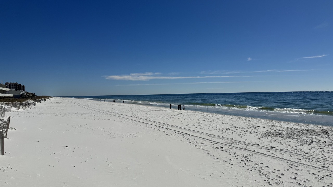 Photo of Others in Gulf Breeze