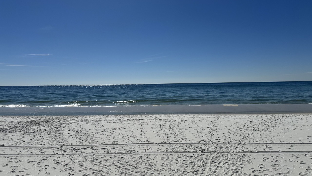 Photo of Others in Gulf Breeze