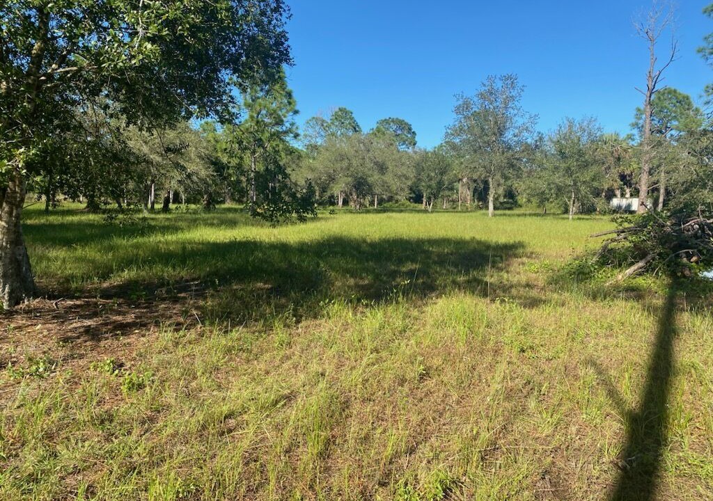 Photo of Others in Clewiston
