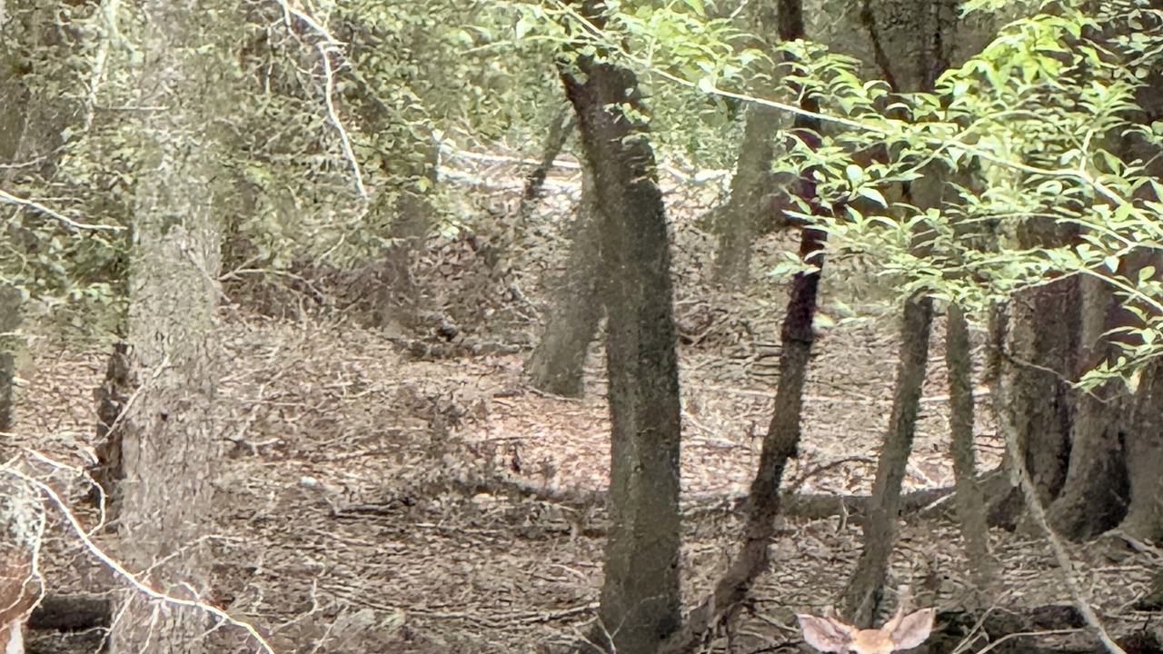 Photo of Others in Branford