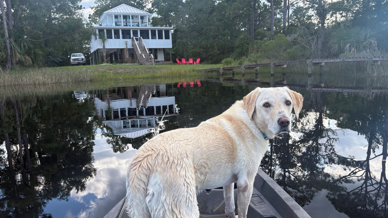 Photo of Outdoor in Carrabelle