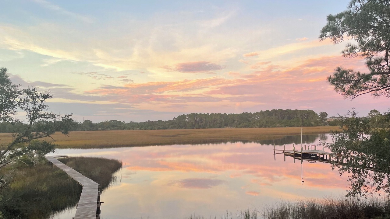 Photo of Others in Carrabelle