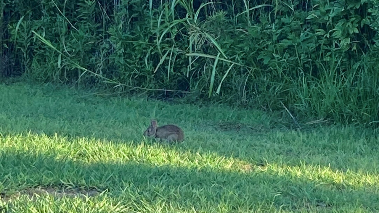 Photo of Others in Maurepas