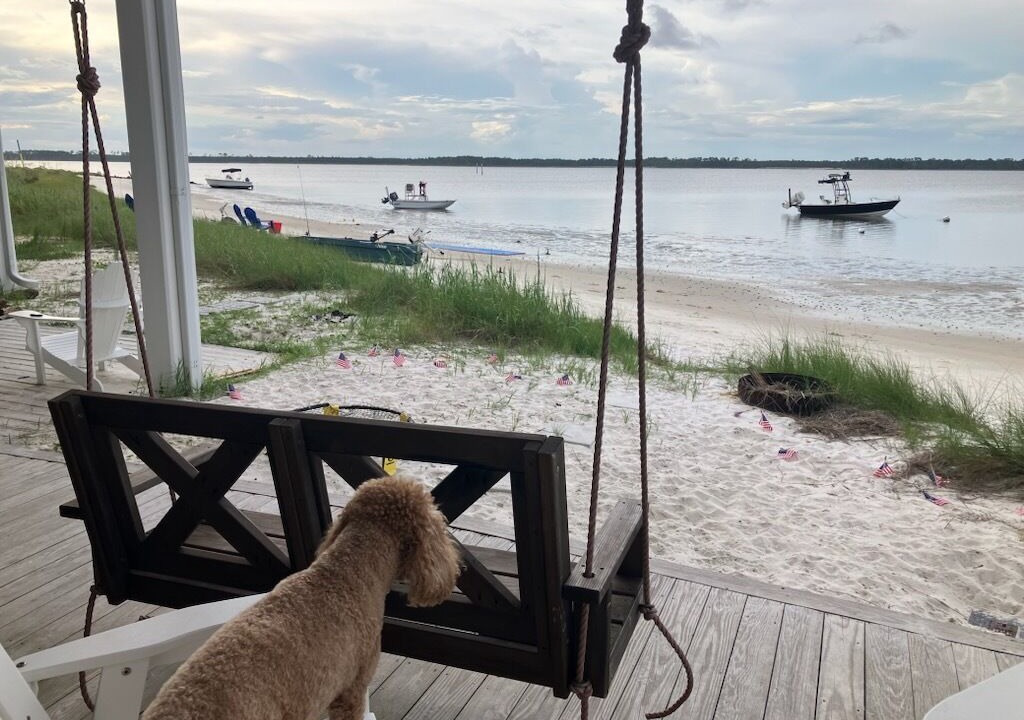 Photo of Outdoor in Alligator Point