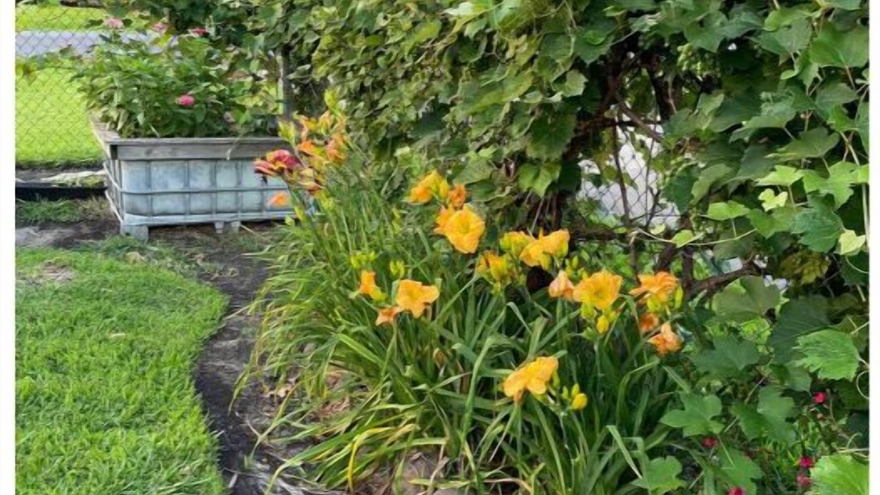 Photo of Outdoor in Nederland