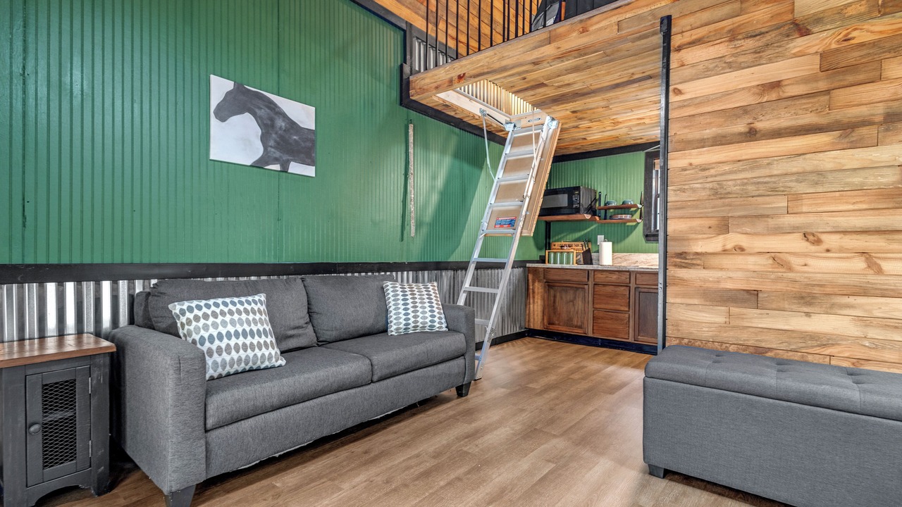 Photo of Livingroom in Mineola
