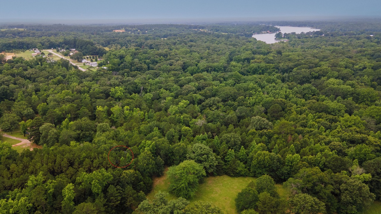 Photo of Outdoor in Mineola