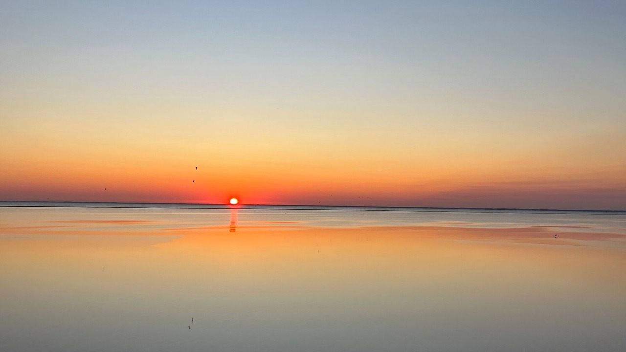 Photo of Others in Coquina Key