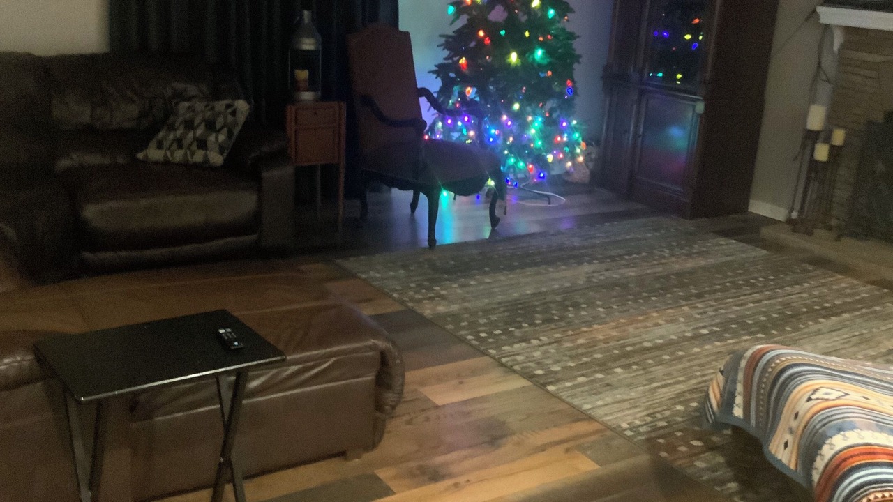 Photo of Livingroom in Starkville