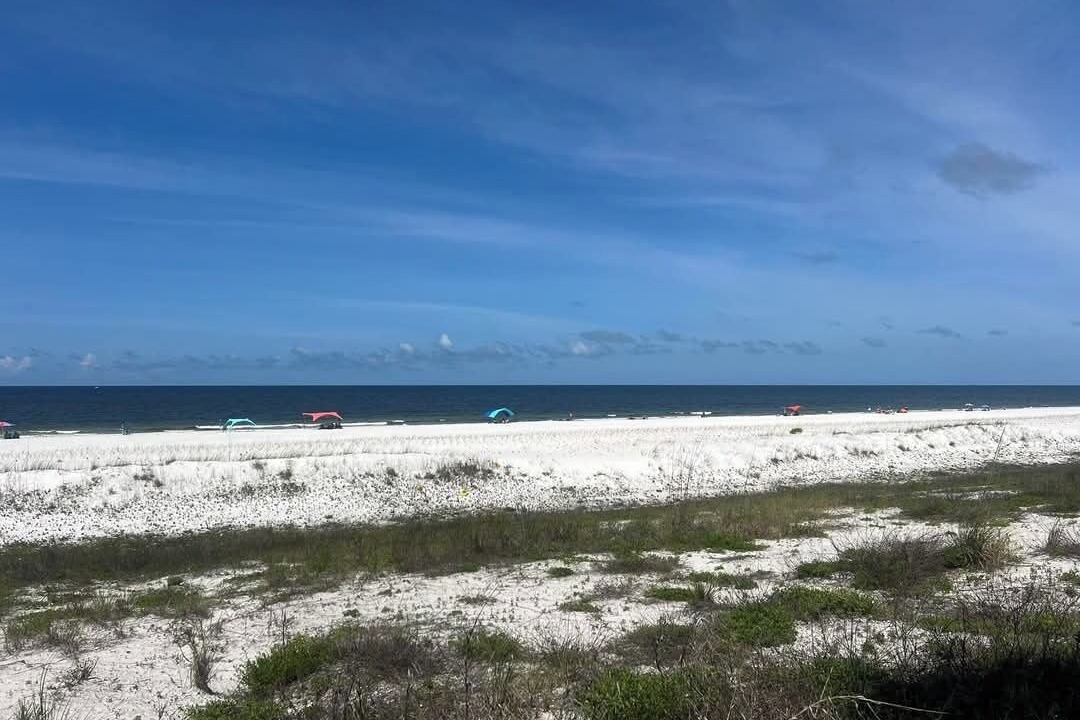 Photo of Others in Port St. Joe