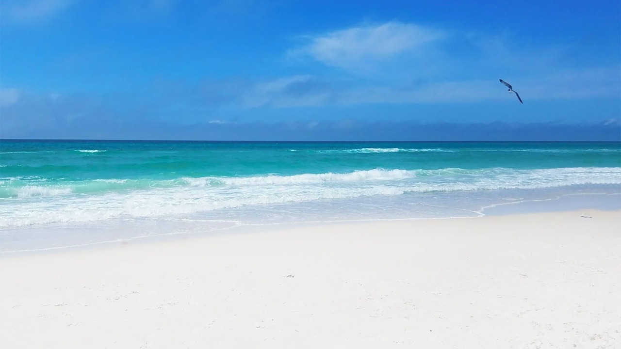 Photo of Others in Bahama Beach
