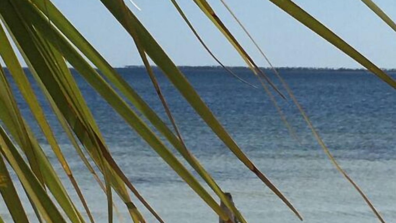 Photo of Others in Panama City