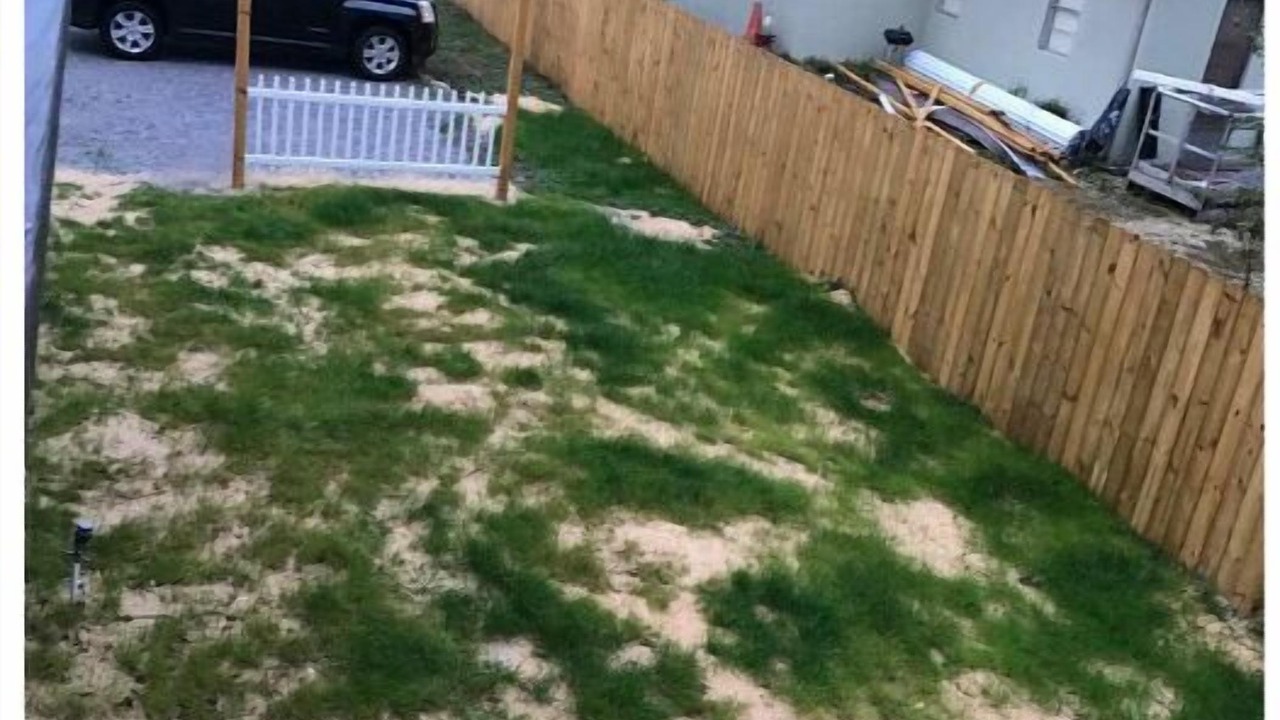 Photo of Outdoor in Panama City