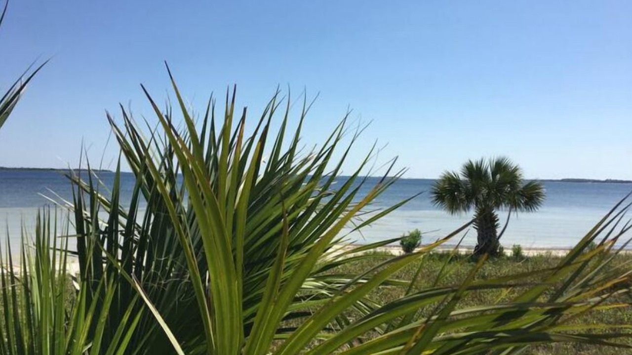 Photo of Others in Panama City