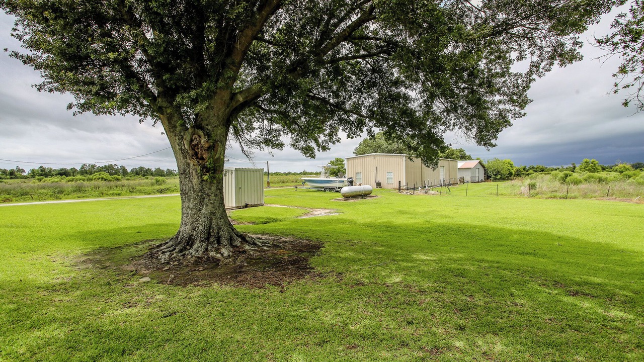 Photo of Outdoor in Lake Charles