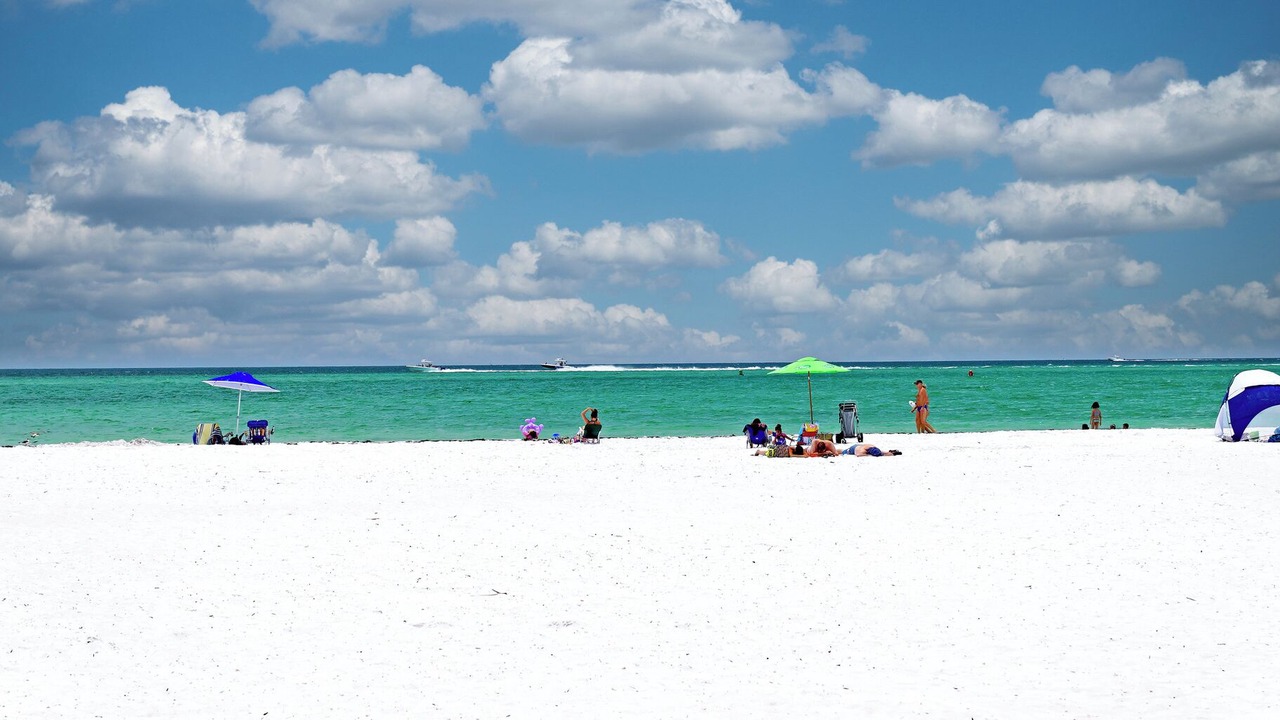 Photo of Others in Sarasota