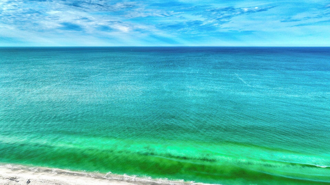 Photo of Others in Sarasota