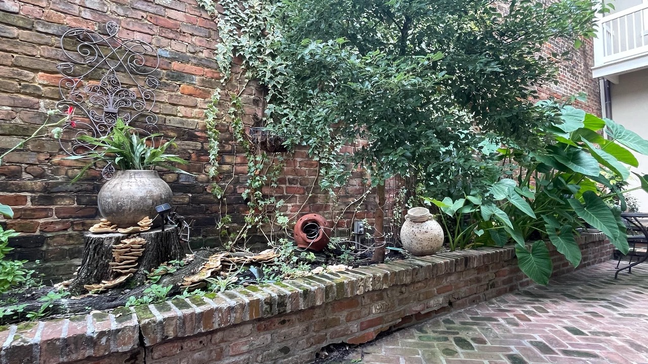 Photo of Outdoor in French Quarter