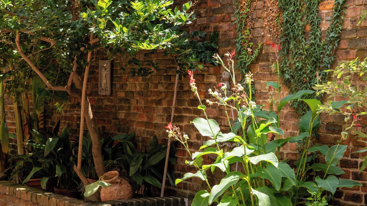 Photo of Outdoor in French Quarter