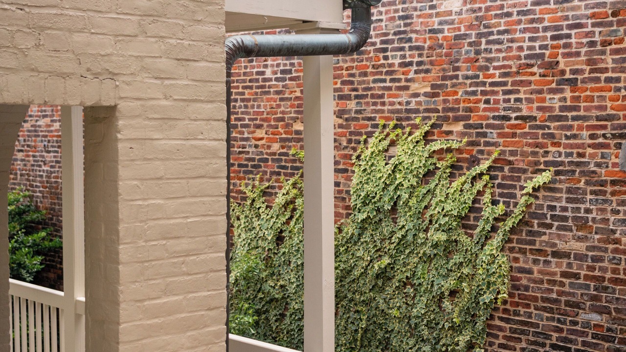 Photo of Outdoor in French Quarter