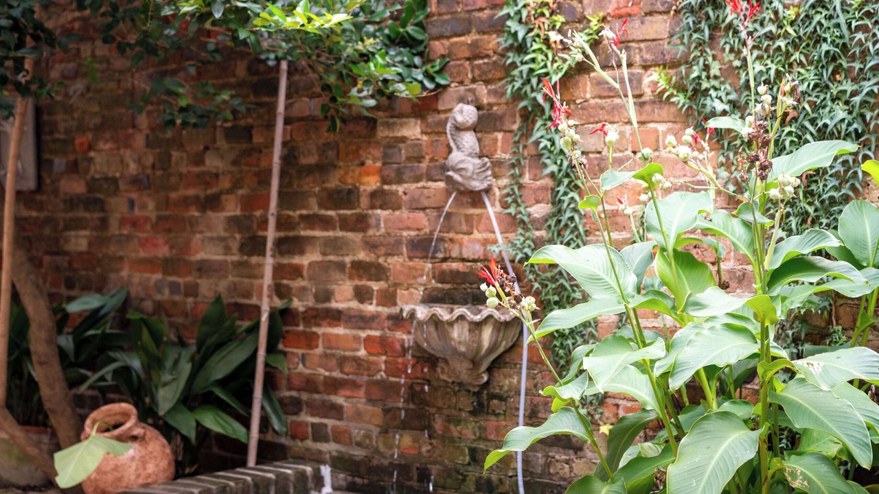 Photo of Outdoor in French Quarter