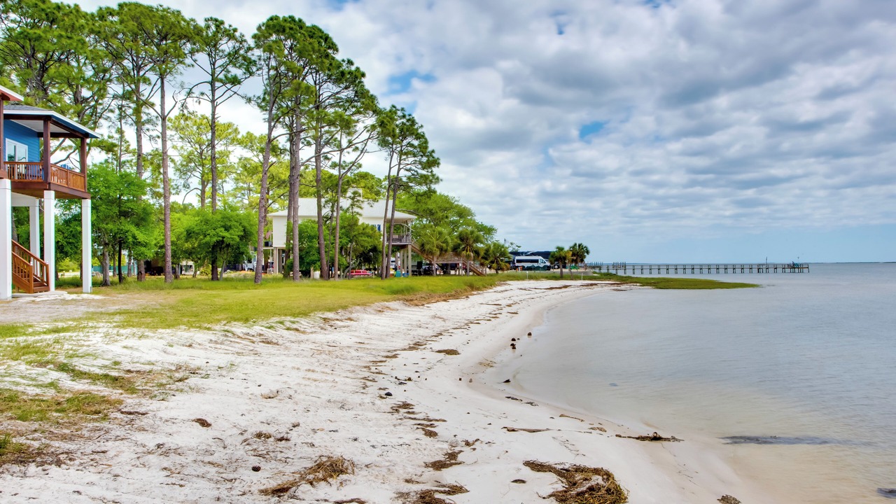 Photo of Others in Carrabelle