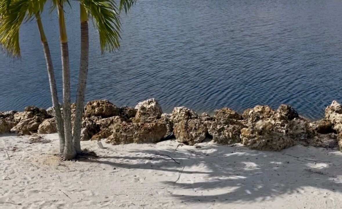 Photo of Others in Tropical Cove