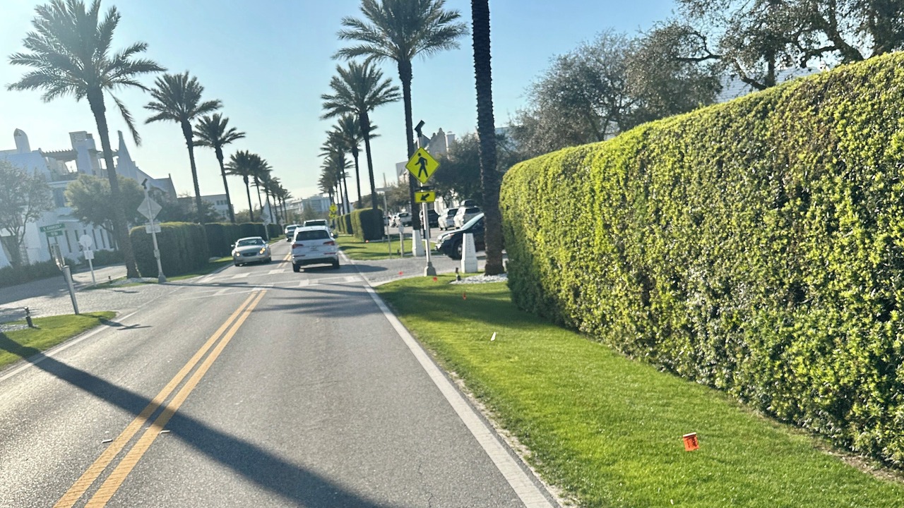 Photo of Others in White's Gulfview