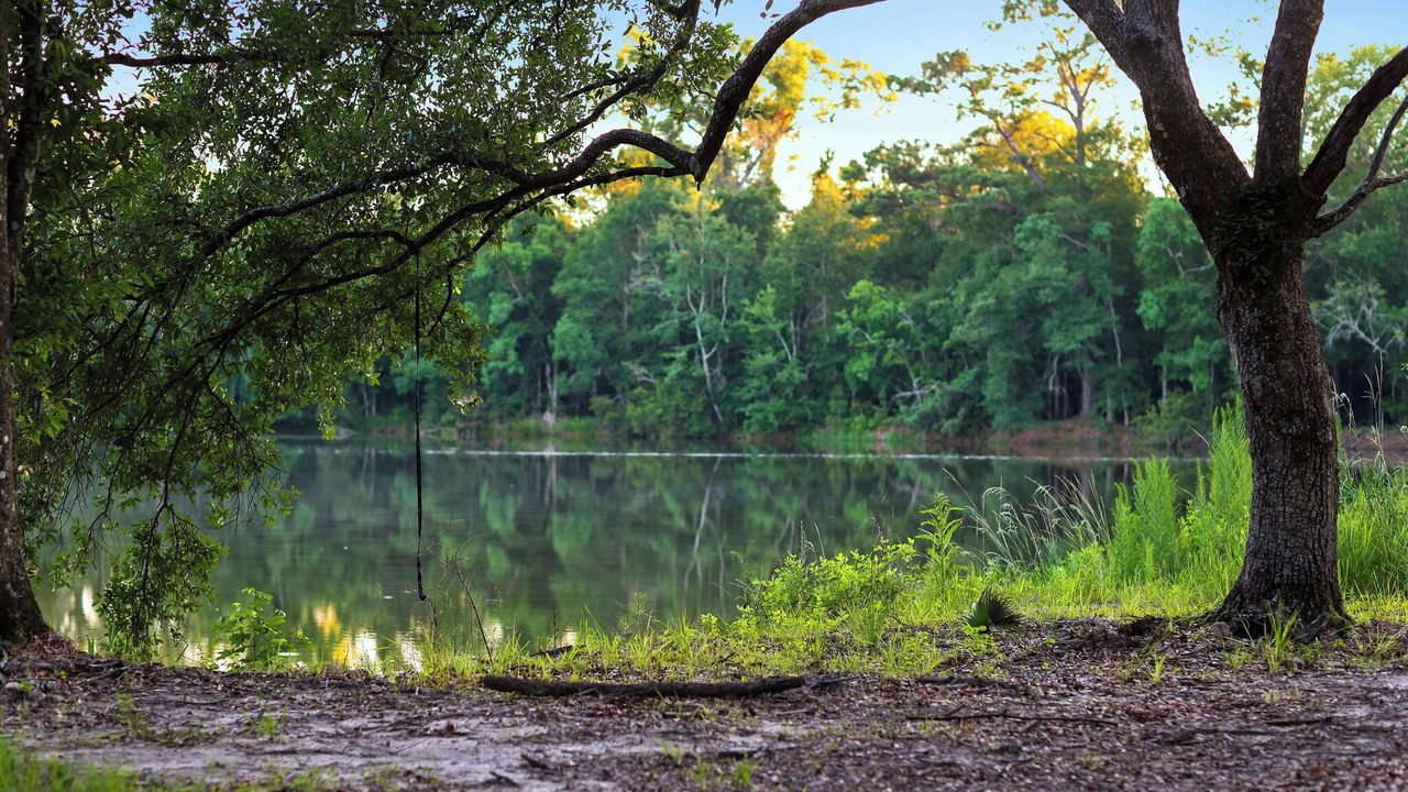 Photo of Outdoor in Hammond