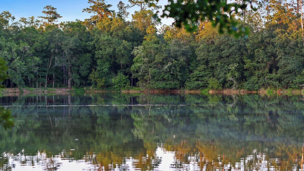 Photo of Outdoor in Hammond