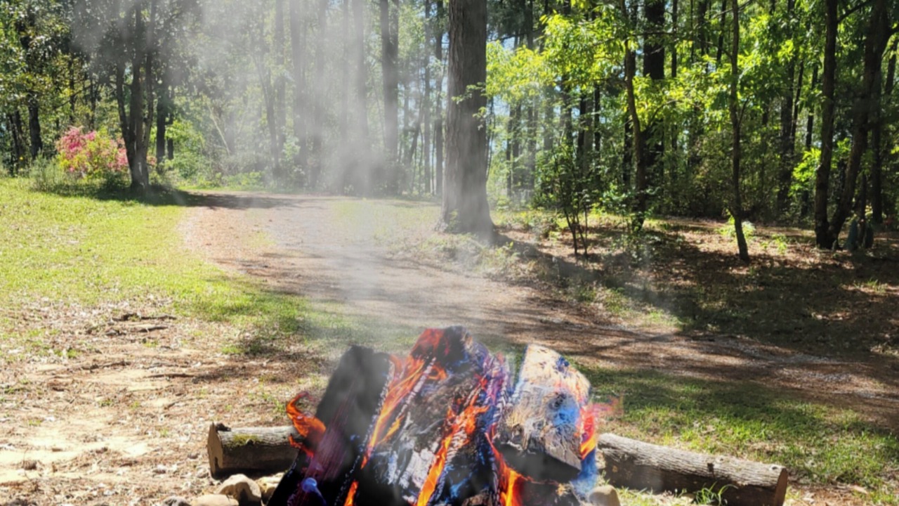 Photo of Outdoor in Gardner