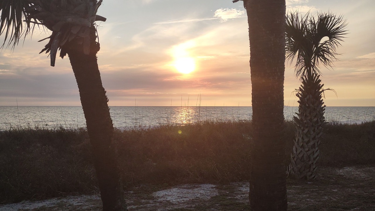 Photo of Others in Port St. Joe