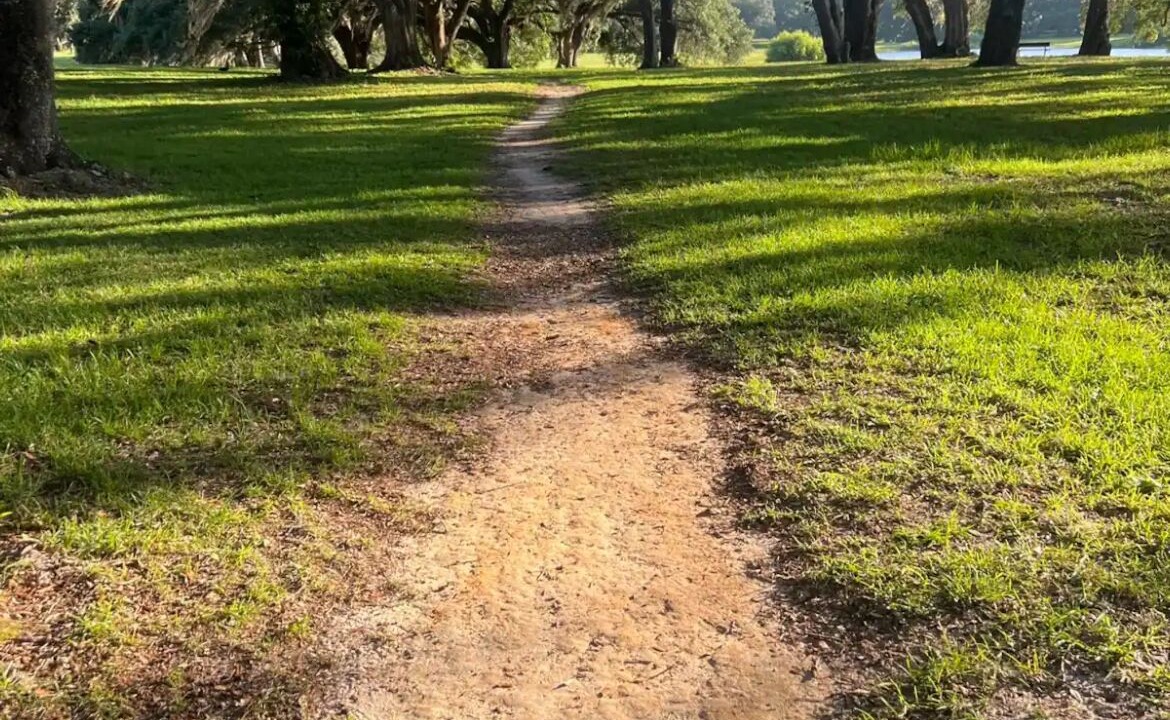 Photo of Outdoor in Dunnellon