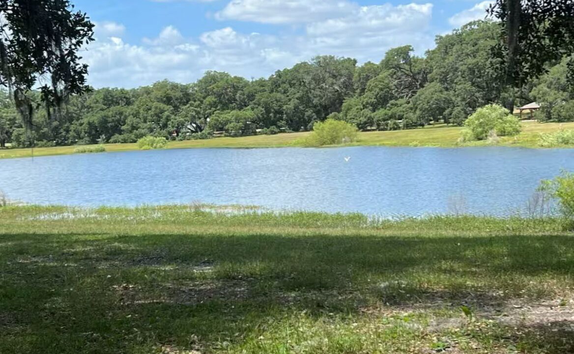 Photo of Outdoor in Dunnellon