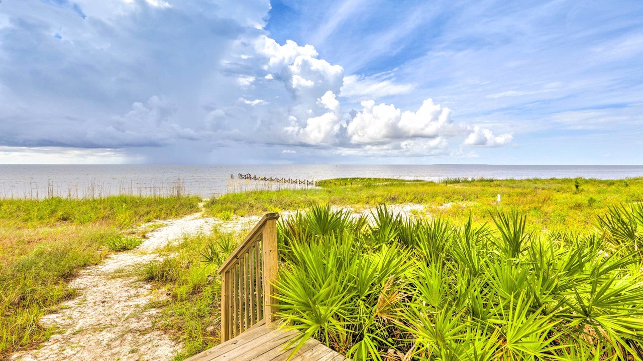 Photo of Outdoor in Panacea