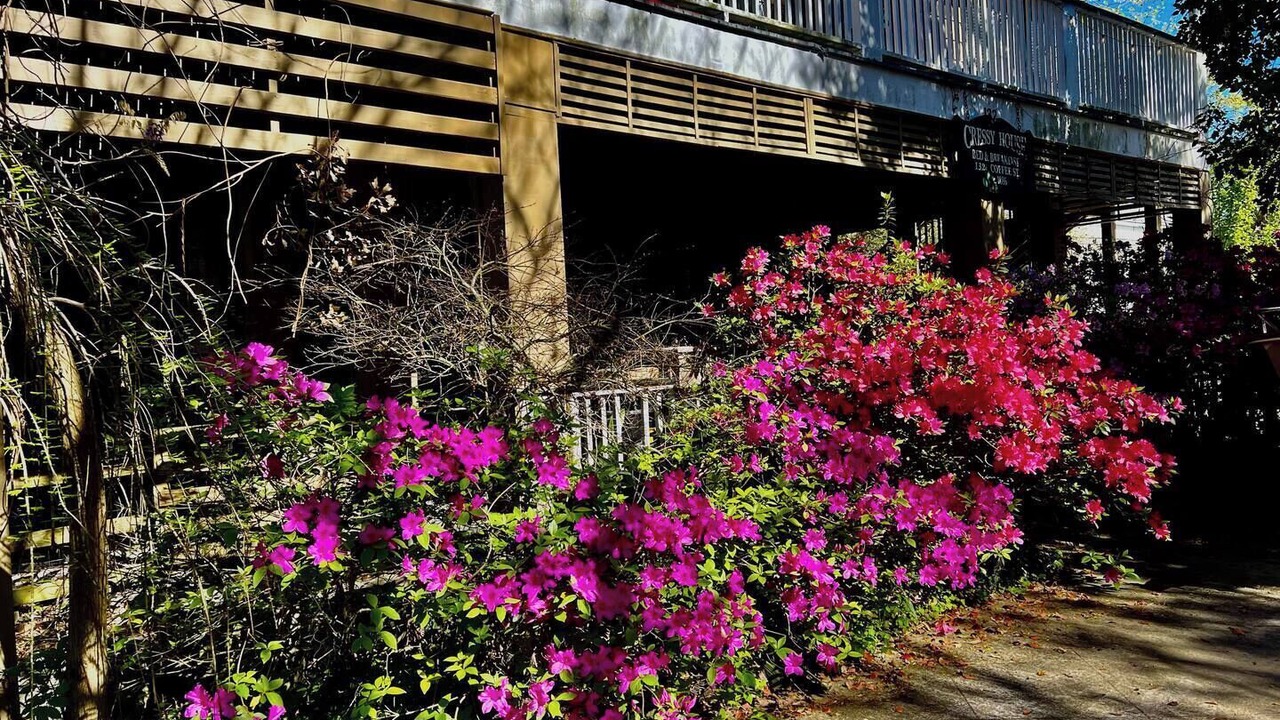 Photo of Outdoor in Mandeville