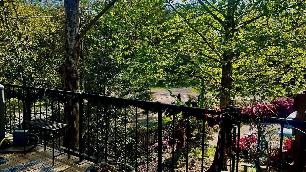 Photo of Outdoor in Mandeville