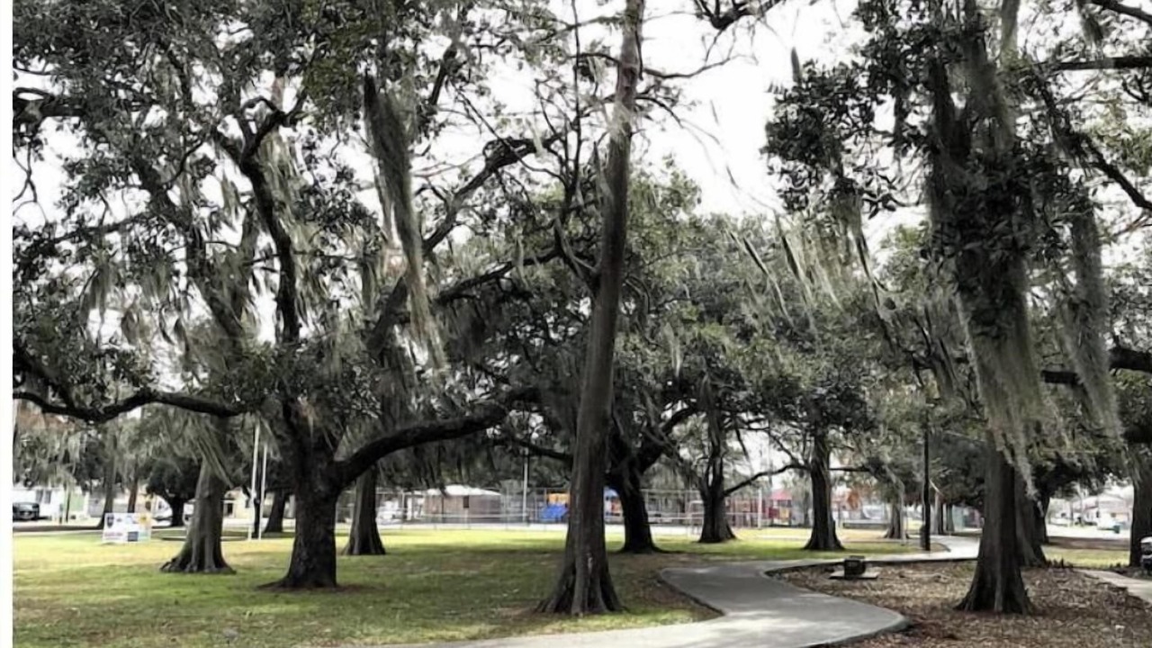 Photo of Others in Westwego