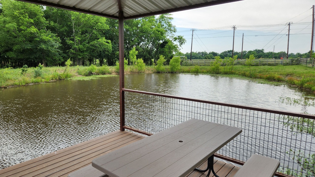 Photo of Outdoor in Point