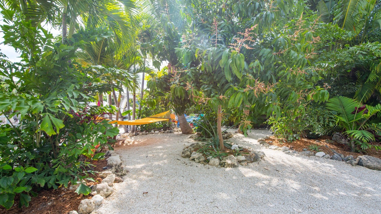 Photo of Outdoor in Summerland Key