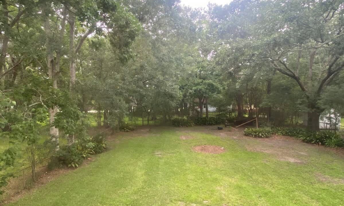 Photo of Others in Pascagoula